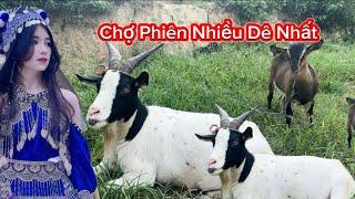 Chợ Phiên Nhiều Dê Nhất..