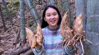 A table full of winter bamboo shoots, the  family enjoyed it with relish