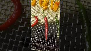 Dehydrating Peppers In Oven