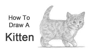 How to Draw a Kitten