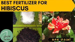 Best Fertilizer For Hibiscus that No One Told You Before | How & When to Apply? Organic or Chemical?