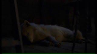 Game of Thrones S06E02 - Jon Snow, Alternative Ending?