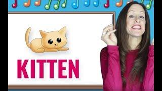 Phonics | The Letter K | Signing for Babies ASL | Letter Sounds K | Patty Shukla