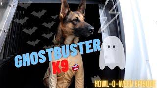 Ghostbuster K9