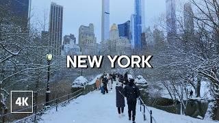 Winter Magic in Central Park, New York | Walking in Central Park in the Winter Snow