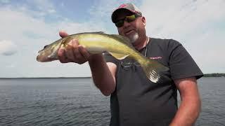 Weedline Walleye