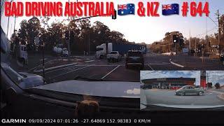 BAD DRIVING AUSTRALIA & NZ # 664 …Tree Down