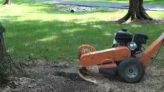 Stump grinding with Power King 14 H.P. grinder. Effective but a full body workout!