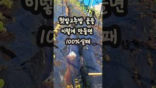 텃밭고추밭 고랑만들기 100%실패