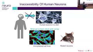 How can we see if a treatment might work in humans - iPSC cell modelling (Rallying 2024)