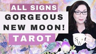 ALL SIGNS – You’ll Feel This Gemini New Moon Shift! Tarot Reading & Astrology with Stella Wilde