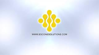 Escone Solutions Ltd - Understand - Support - Deliver