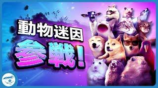 【全員参戦】動物迷因全員參戰 [Part.1]  Animals Join The Battle!