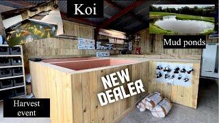 A BRAND NEW KOI DEALER NEVER BEEN SEEN ON YOUTUBE!! **EPIC PLACE**