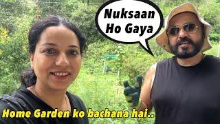 2 Saal ki mehnat aur Nuksaan ho gaya || How we saved our home garden plants from insects