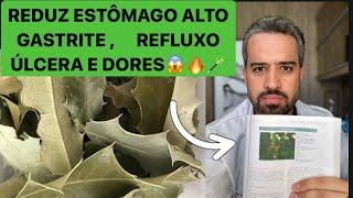 Beba 1X ao DIA -CHÁ DIGESTIVO Reduz Estômago ALTO, Gastrite, Refluxo, Gases e DORES no Estômago