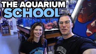 This is a SCHOOl for AQUARIUM enthusiasts?! -*BEST SCHOOL IN THE WORLD*