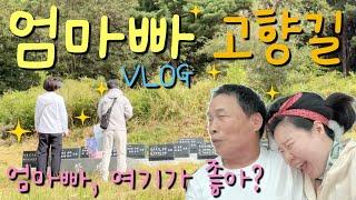 TV는 사랑을 싣고 | 엄마아빠 고향 | 전라도 여행길 | 막내이모 친정 | 가족 브이로그