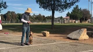 Layla Practicing Her Placing Skills at Kit Carson Park