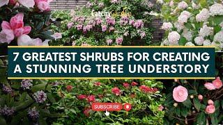 7 Greatest Shrubs for Creating a Stunning Tree Understory  // Gardening Tips