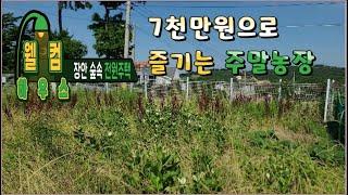 24 -15// 7,000만원 투자해서 전원주택도 지을수 있고 주말농장도 할수있는 정말 좋은 토지입니다..