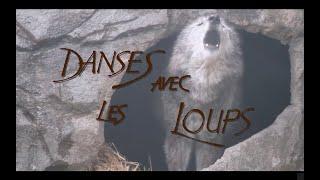 Danses Avec Les Loups - ARCENA Brand Team Video 2022 (Rollerblading)