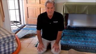 Pet Stain Removal