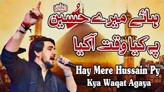 #Hay_Mere_Hussain_py_Kya_Waqat_Agaya | #Farhan_Ali_Waris | #Trendingno1 #Foryou