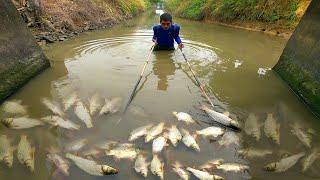 Awesome Fishing Technique, Amazing Big Carp Catching, Best Fishing, Unique Fishing Skill