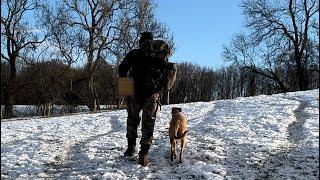 cold days ferreting in the snowy dales with half micro ferrets & nip