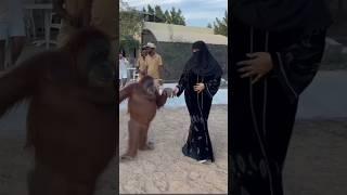 Sana Ansari Hajj Yatra in Makkah | Mashallah | #hajj #islamic #reels