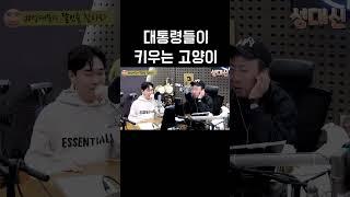 대통령들이 키우는 고양이