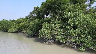 Moving to Sundarban by Boat || Jimy Bosak