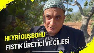 Heyri Guşbohu - Fıstık Üretici ve Çilesi