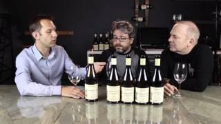 Fabrice Amiot of Domaine Guy Amiot: Ep. 88