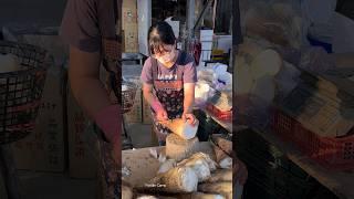 Taiwanese Girl Selling Giant Bamboo Shoots