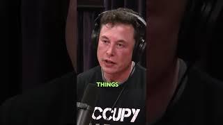 Elon Musk talks about Regulations on things! ‼️️#shorts #elonmusk #joerogan  #celebrity