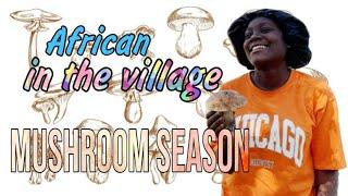 African in a Russian village  we are picking mushrooms