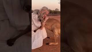 Supernatural Attachment: Amazing Love Between Animals and Humans 