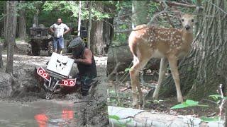 FAWNS WATCHING US PLAY IN THE MUD!