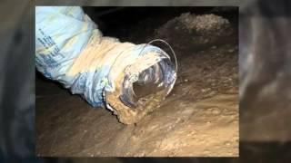 Chattanooga Home Inspector Reveals Basement Horrors | (423) 284-1510  | Call Us!