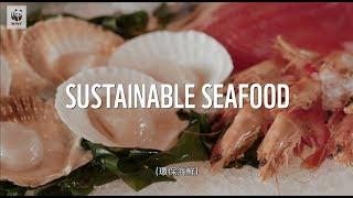 如何實踐環保海鮮政策？ How to implement sustainable seafood policy?