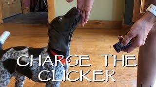 First Step With Your New Puppy - Clicker Training