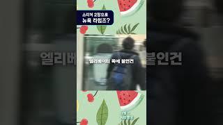 스티커 두 장으로 뉴욕타임즈에 올라간 천재 이제석