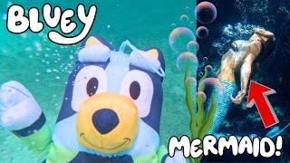 Bluey and Bingo Magical Cruise Adventure: Scuba Diving, Buried Pirate Treasure, Mermaids and more!