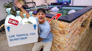 Buying AGGRESSIVE Species for My PREDATORY SALTWATER POND!!