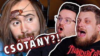 Ilyen tényleg NINCS!  | Livestream Fails #3