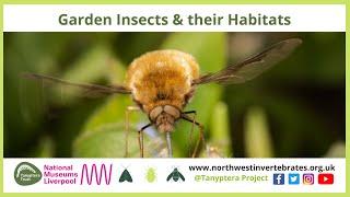 Garden Insects & their Habitats