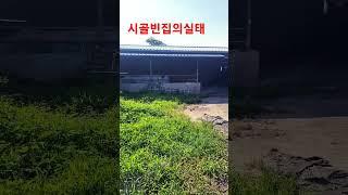 #청도한옥 #청도부동산 #청도땅매매 #청도촌집매매