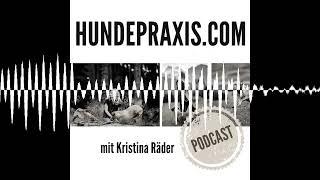 Abbruchsignale bei Hunden - Hundepraxis - der Podcast